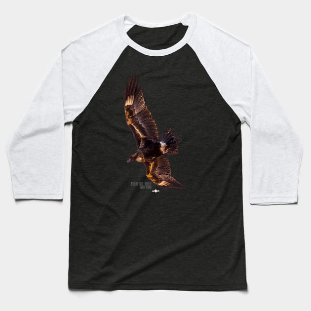 Wedgetail Eagle_02C Baseball T-Shirt by seadogprints